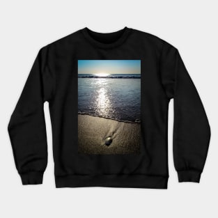 Seashell II Crewneck Sweatshirt